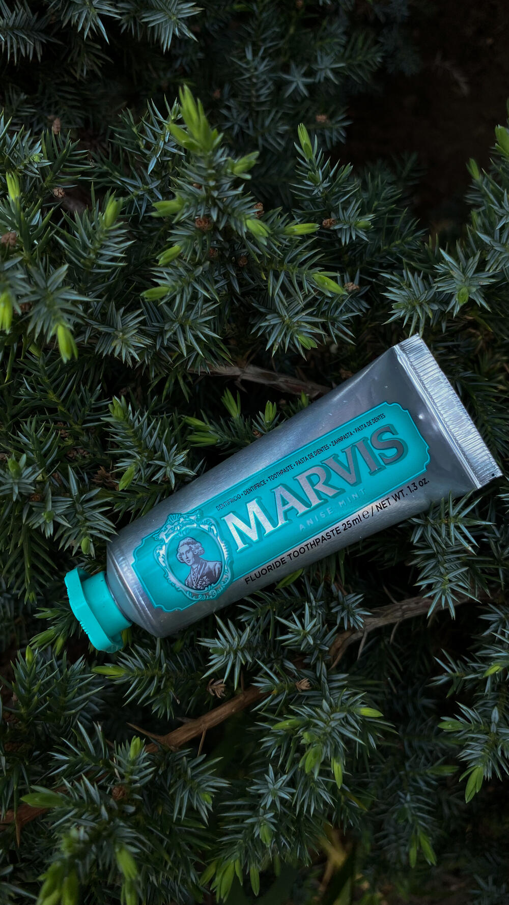 Зубна паста Marvis 25 ml 25 мл, Anise Mint