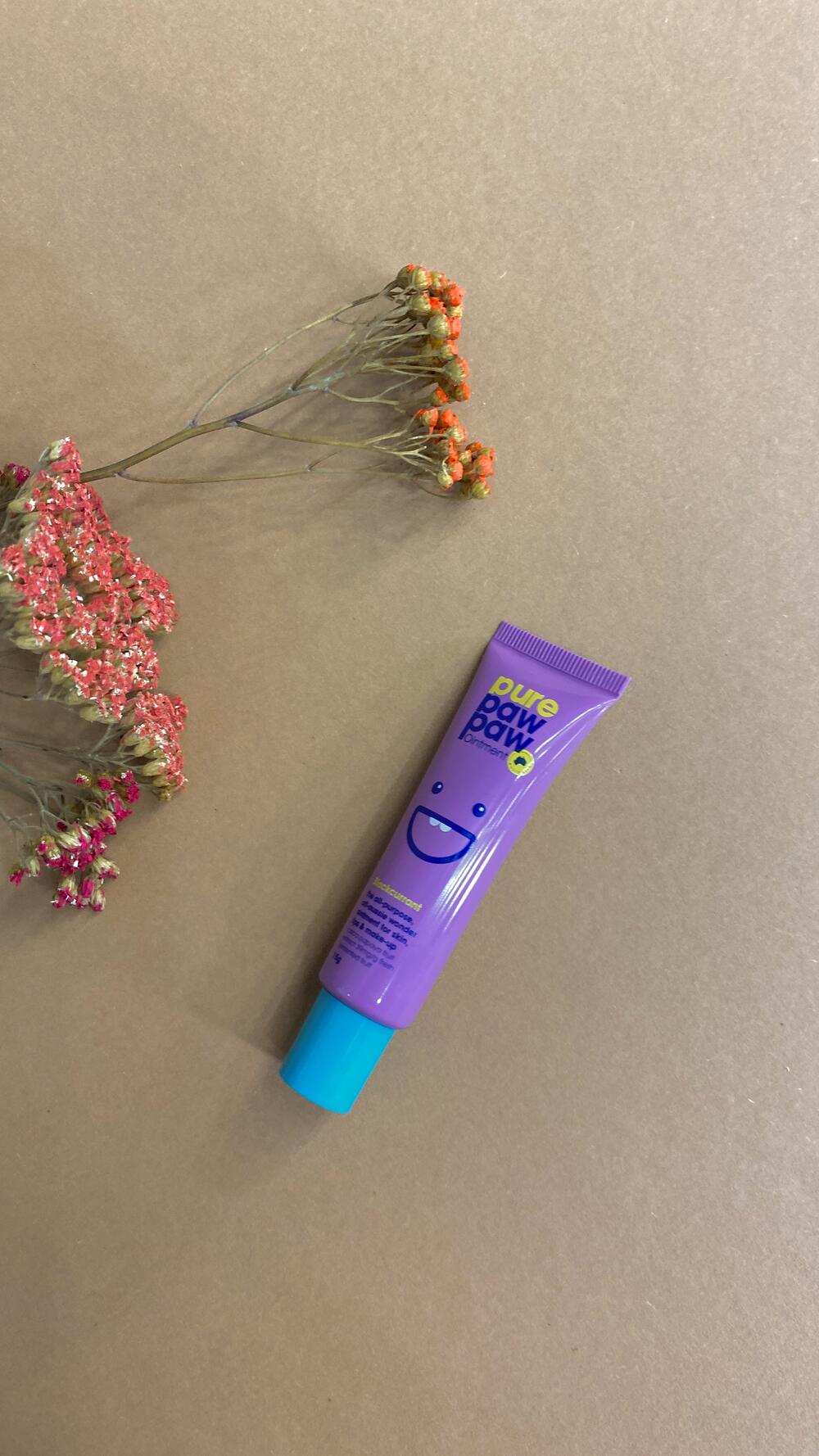 Бальзам для губ Pure Paw Paw 15g Чорна смородина